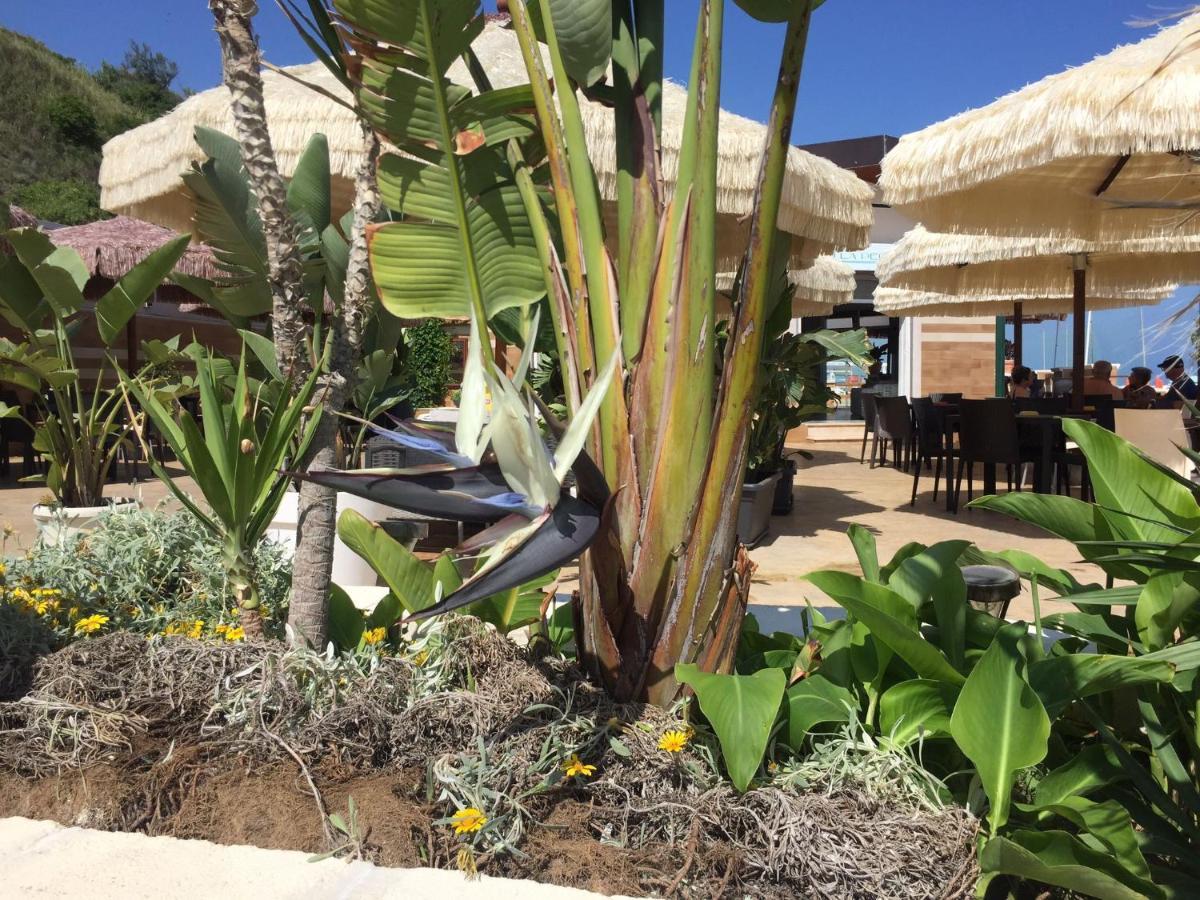 Suebi Rooms Termoli Exterior photo